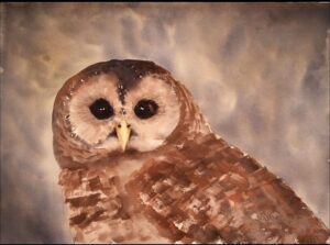 6. Merit Award Wise by Shevawn Eisman
I like the fact that the brush strokes in the backgrounds and those on the owl are similar but not identical.  There is a good pattern of brush strokes.  The eyes of the owl are penetrating and powerful.  Its expression is dramatic.