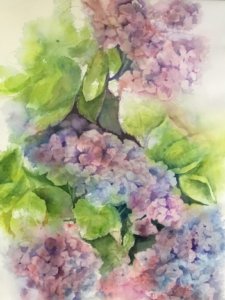 Hydrangeas by Colette Sirhal