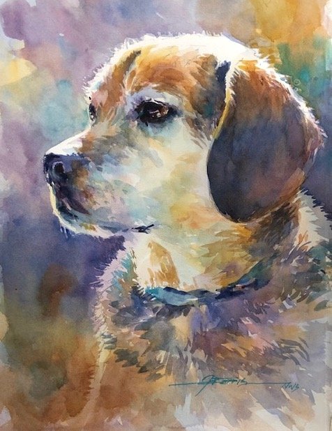 Beagle Dog Watercolor